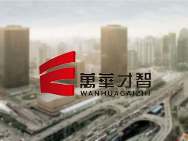 贵州万华投资管理咨询有限公司
